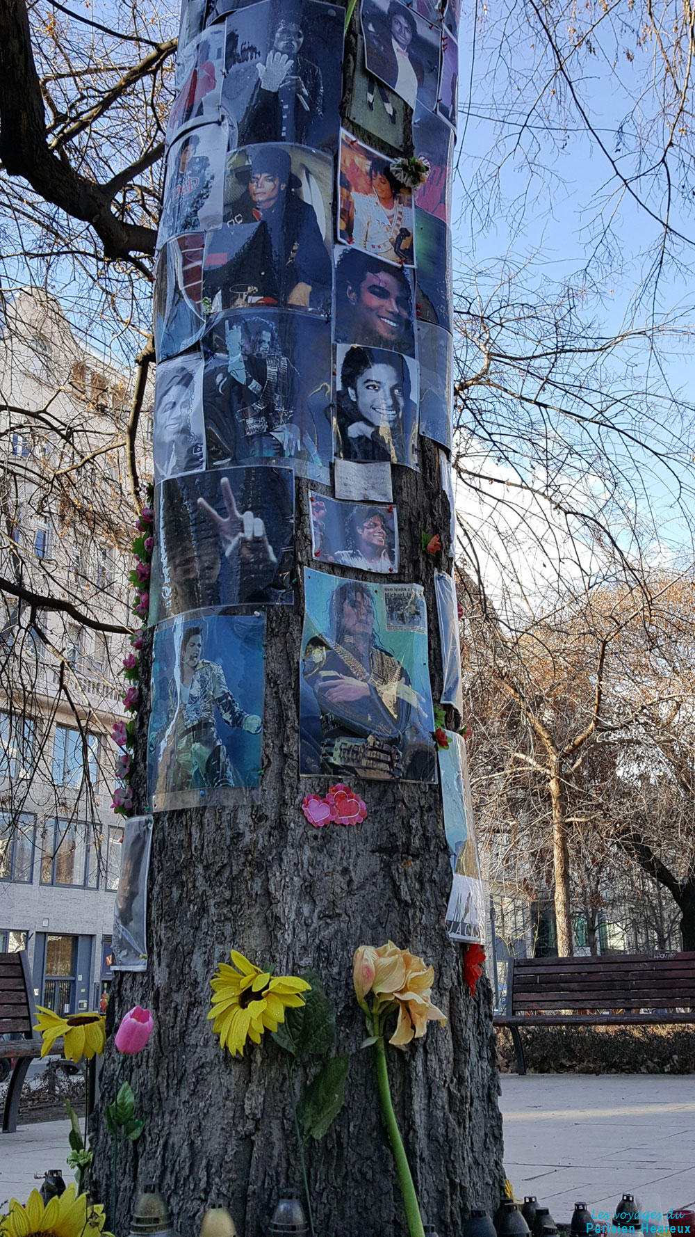 L’arbre Michael Jackson à Budapest