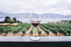 Dégustation du vin de Paros 