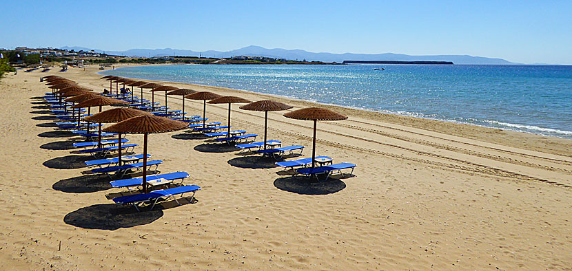 La plage “Golden Beach” à Paros